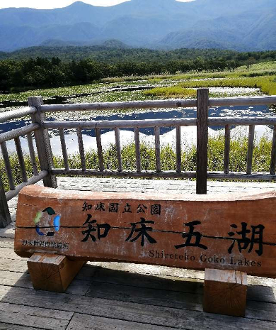 title :『 【北海道車中泊】知床峠〜天に続く道〜道の駅摩周温泉へ 』画像説明文 :これから先は平坦な木道です。この高架木道には階段がありません。車イスでも利用出来るとの配慮からですが階段がないゆるやかな登りは意外に疲れる感じがします。この高架木道は知床五湖の一つ、知床一湖まででした。湖畔展望台には左回りの回転式ゲートが有り地上遊歩道を利用した人が高架木道に入れるようになっています。高架木道から地上に降りることはゲートが回らないので出来ません。