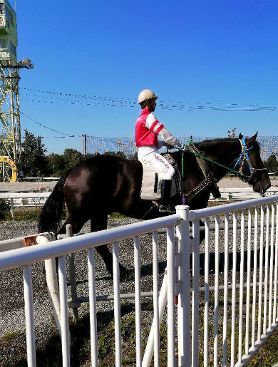 title :『 【北海道車中泊】阿寒湖〜十勝・ばんえい競馬〜道の駅白金ビルゲへ 』画像説明文 :馬券の買い方が判らずレクチャーを受けばん馬の様子を見ることに...