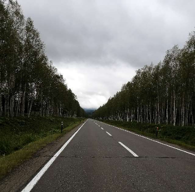 title :『 【北海道車中泊】温根湯温泉〜三国峠〜道の駅ピア21しほろへ 』画像説明文 :三国峠を過ぎると松見大橋の絶景ポイントがあり、カメラ好きの方が好む撮影ポイントがあります。よく旅行雑誌などで見かけるかも...？生憎の天気なので素通りしたけど天気が良ければ車を止めて写してたよね。多分...適当な下り勾配で対向車は先ず来ないしそこそこの速さで走れる区間ですが、周囲が見事な白樺の木で思わず車を止めてしまいました。