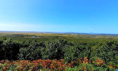 title :『 【北海道車中泊】釧路湿原〜愛冠岬〜道の駅スワン44ねむろへ 』画像説明文 :釧路湿原駅からなだらかな坂を登ると釧路湿原 細岡ビジターラウンジがあり、ここを右に曲がって歩くこと10分程で細岡展望台入り口につきます。ここは車で来れるけどノロッコ号に乗りたかったんだよね...お天気サイコ～で絶景釧路湿原 細岡展望台は別名「大観望」と呼ばれるのも頷けますね。ただただポケ〜〜っとした一時を過ごしました。