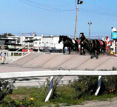 title :『 【北海道車中泊】阿寒湖〜十勝・ばんえい競馬〜道の駅白金ビルゲへ 』画像説明文 :最初の障害です。１番、いいぞ！いいぞ！