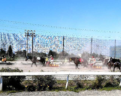 title :『 【北海道車中泊】阿寒湖〜十勝・ばんえい競馬〜道の駅白金ビルゲへ 』画像説明文 :流石パワーがありますね。１番が一番に躍り出ました！走れ！走れ！コウタロウ〜　^^;