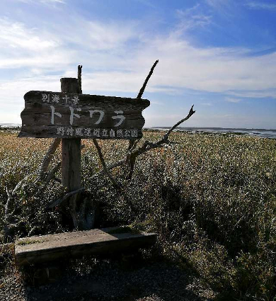 title :『 【北海道・車中泊】納沙布岬〜トドワラ〜道の駅知床・羅臼へ 』画像説明文 :30分は歩いただろうか...ようやく先が見えてきた。