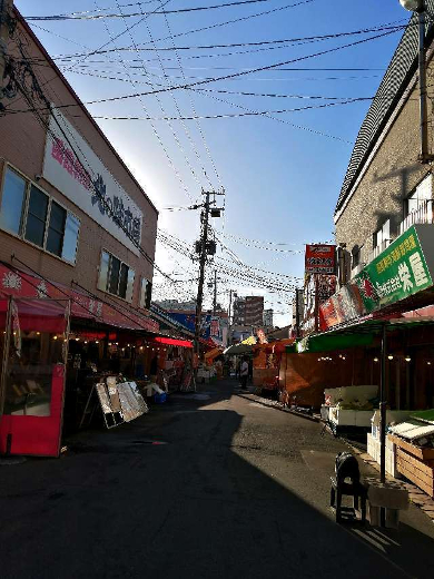 title :『 【北海道車中泊】函館山〜トラピスチヌ修道院〜五稜郭 』画像説明文 :実は実は...翌日も函館朝市に行ってきました。というのはこの日は11時頃訪れたのでチョット遅かった？と思ったからで...翌日は朝市が賑やかだろう時間、朝７時に訪れました。