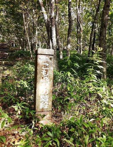 title :『 【北海道車中泊】釧路湿原〜愛冠岬〜道の駅スワン44ねむろへ 』画像説明文 :この階段も同じく急坂で歩きやすいようにという感じです。湿原というより普通のハイキングコースと言った感じでした。