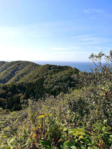 title :『 【北海道車中泊】函館山〜トラピスチヌ修道院〜五稜郭 』画像説明文 :函館山山頂にある展望台の営業時間は10:00〜22:00になっていますが季節変動があるようです。また函館山への登山や車の通行などは函館市が渋滞や混雑解消を目的として細かく規制しています。特にシーズン中の夜間は車での通行は出来ないようですので函館山の営業時間を御覧ください。函館山登山道からの景色はこんな感じでした。