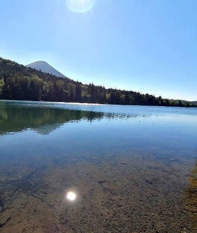 title :『 【北海道車中泊】阿寒湖〜十勝・ばんえい競馬〜道の駅白金ビルゲへ 』画像説明文 :しかし同じ日、同時刻でありながらも見る角度や方向でも「大きな沼」の色が変わり「大きな湖」に変身します。オンネトーは「大きな湖」と呼ぶのが相応しいですね。