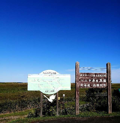 title :『 【北海道車中泊】稚内〜宗谷岬〜道の駅オホーツク紋別へ 』画像説明文 :エサヌカ線の終点(始点）にベニヤ原生花園がありました。ここも残念ながら季節外れということで”花園”ではありませんでした。スズラン：6月上旬～9月下旬ハマエンドウ：6月中旬～6月下旬ヒオウギアヤメ：6月中旬～7月中旬ハマナス：6月中旬～8月中旬ハナショウブ：7月上旬～7月下旬クガイソウ：7月中旬～8月中旬タチギボウシ：7月中旬～8月中旬エゾカワラナデシコ：7月下旬～8月下旬