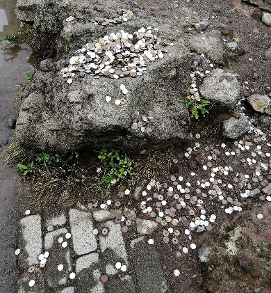 title :『 【北海道車中泊】神威岬〜ニッカ余市醸造所〜道の駅旭川へ 』画像説明文 :「神威(カムイ）」とはアイヌ語で「神」を意味するそうで神社でもお寺でもありませんが多くの「お賽銭」が「参拝者」の気持ちを物語っています。