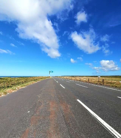 title :『 【北海道車中泊】稚内〜宗谷岬〜道の駅オホーツク紋別へ 』画像説明文 :ようやく目にしたのが稚内までの距離が表示された案内標識です。