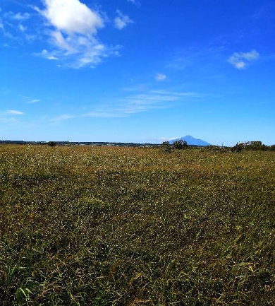 title :『 【北海道車中泊】稚内〜宗谷岬〜道の駅オホーツク紋別へ 』画像説明文 :サロベツ原野でした。^^;それでも周遊コースを巡っていると利尻富士を見ることが出来ました。